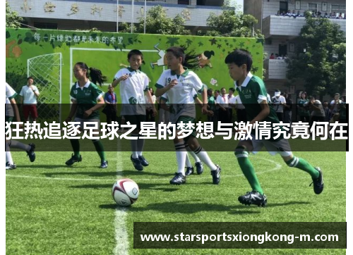 狂热追逐足球之星的梦想与激情究竟何在