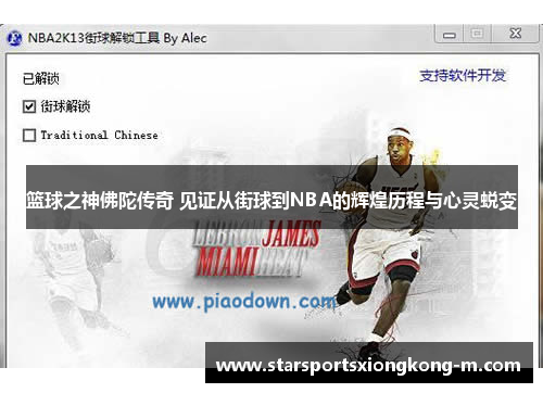 篮球之神佛陀传奇 见证从街球到NBA的辉煌历程与心灵蜕变